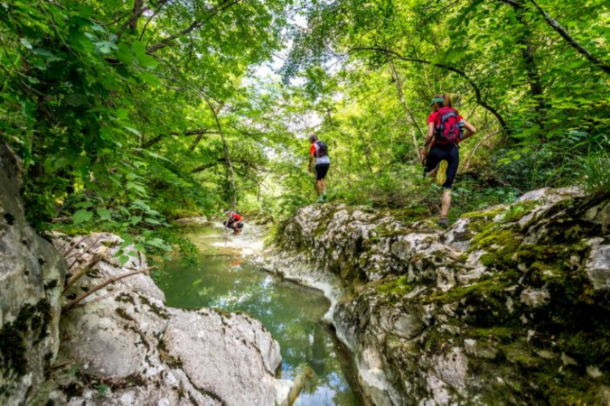 Nature, Feriehus, ferieboliger og hotell i Kroatia - Charming Croatia